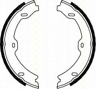 TRISCAN 810023031 Комплект гальмівних колодок, стоянкова гальмівна система