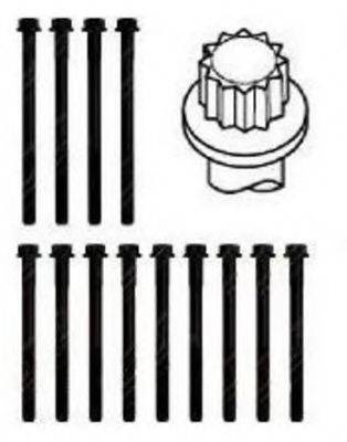 PAYEN HBS443 Комплект болтів головки цилідра