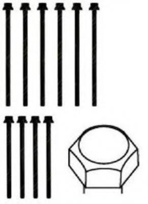 PAYEN HBS391 Комплект болтів головки цилідра