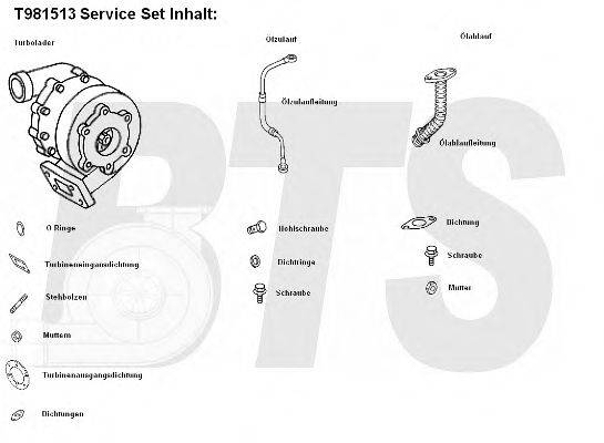 BTS TURBO T981513 Компресор наддув