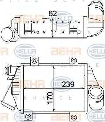 HELLA 8ML376776591 Інтеркулер