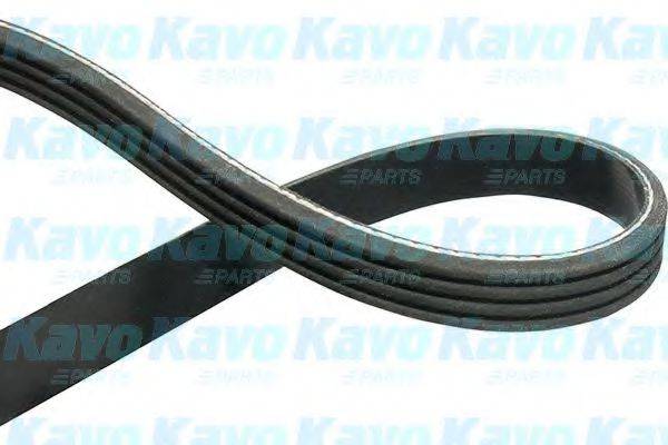 KAVO PARTS DMV1516 Полікліновий ремінь