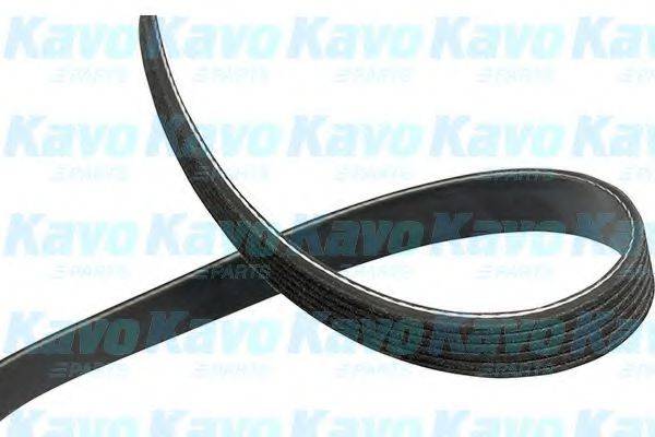 KAVO PARTS DMV4523 Полікліновий ремінь