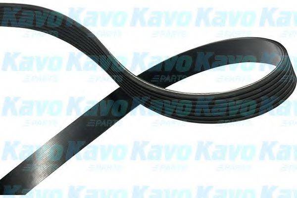 KAVO PARTS DMV6543 Полікліновий ремінь