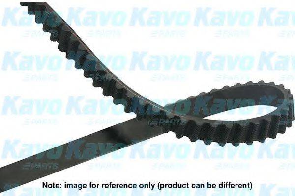 KAVO PARTS DTB9024 Ремінь ГРМ