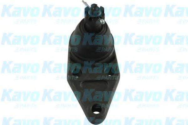 KAVO PARTS SBJ5528 несучий / напрямний шарнір