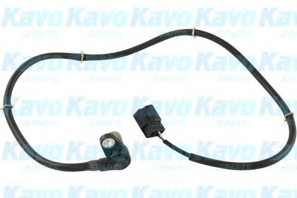 KAVO PARTS BAS5546 Датчик, частота обертання колеса