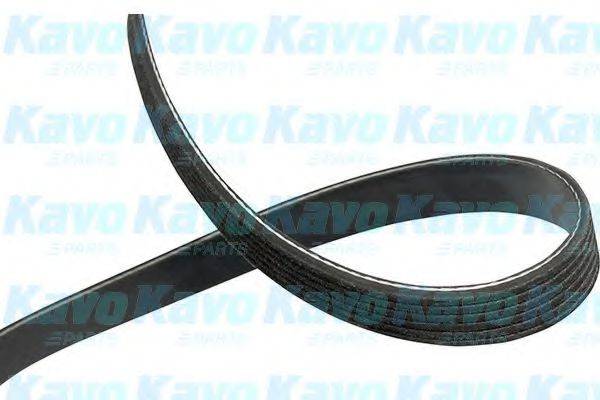 KAVO PARTS DMV1037 Полікліновий ремінь