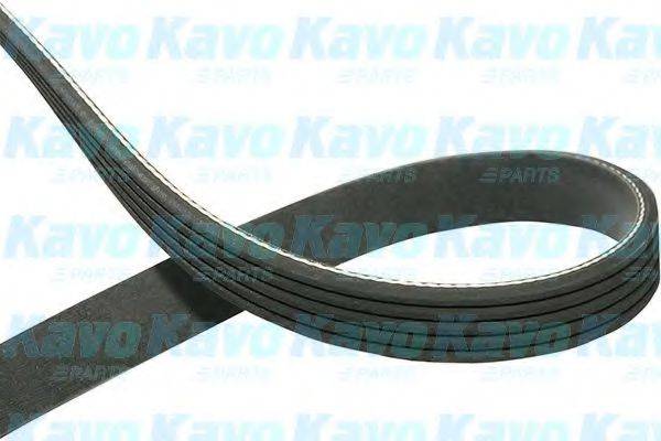 KAVO PARTS DMV5545 Полікліновий ремінь