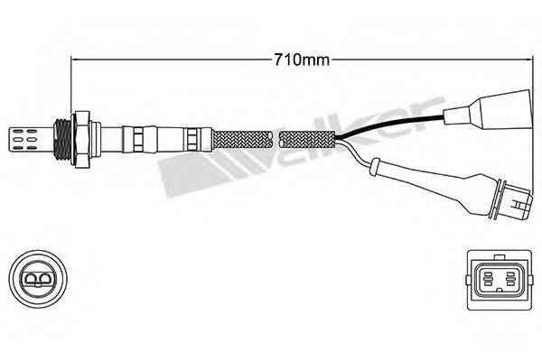 WALKER PRODUCTS 25023028 Лямбда-зонд