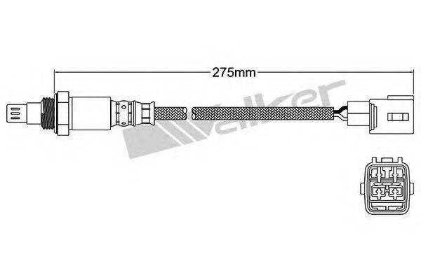 WALKER PRODUCTS 25054050 Лямбда-зонд