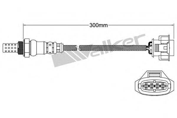 WALKER PRODUCTS 25024845 Лямбда-зонд