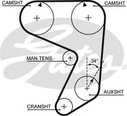 GATES 5081 Ремінь ГРМ