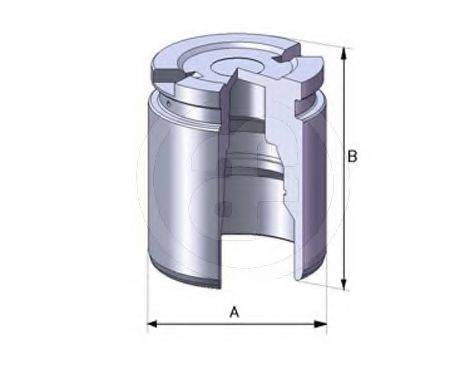 AUTOFREN SEINSA D02519 Поршень, корпус скоби гальма