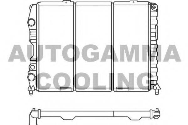 AUTOGAMMA 100029 Радіатор, охолодження двигуна