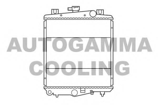 AUTOGAMMA 100139 Радіатор, охолодження двигуна