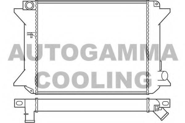 AUTOGAMMA 100171 Радіатор, охолодження двигуна