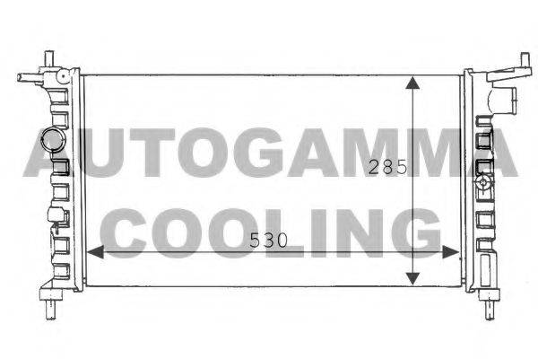 AUTOGAMMA 100674 Радіатор, охолодження двигуна