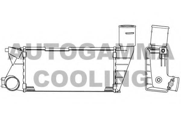 AUTOGAMMA 101863 Інтеркулер