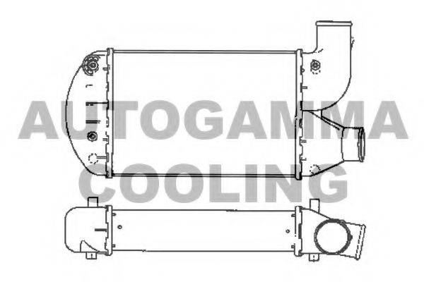AUTOGAMMA 101912 Інтеркулер
