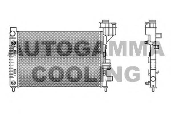 AUTOGAMMA 102000 Радіатор, охолодження двигуна