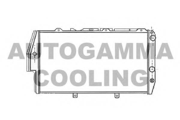 AUTOGAMMA 102026 Радіатор, охолодження двигуна