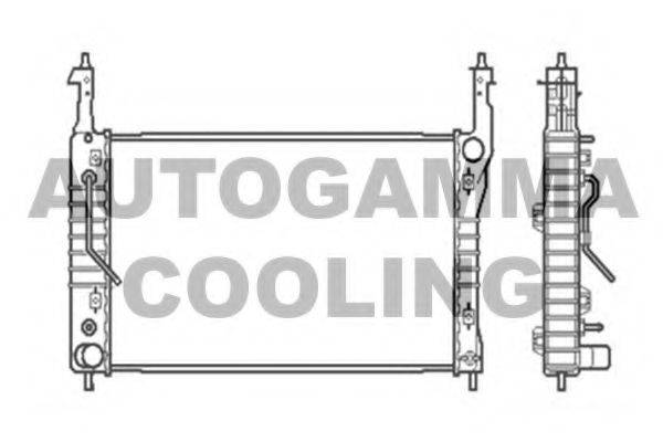 AUTOGAMMA 104252 Радіатор, охолодження двигуна