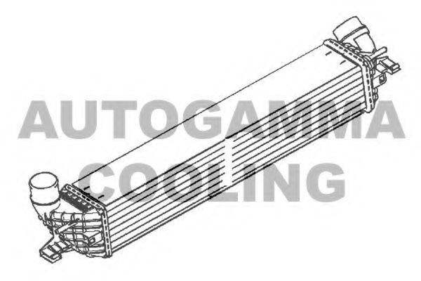 AUTOGAMMA 107040 Інтеркулер