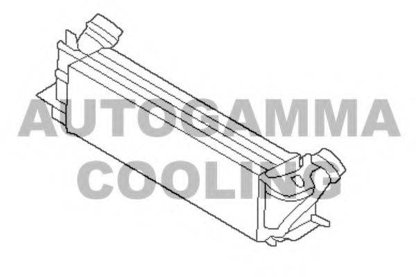 AUTOGAMMA 107303 Інтеркулер