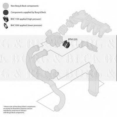 BORG & BECK BTH1235 Трубка повітря, що нагнітається