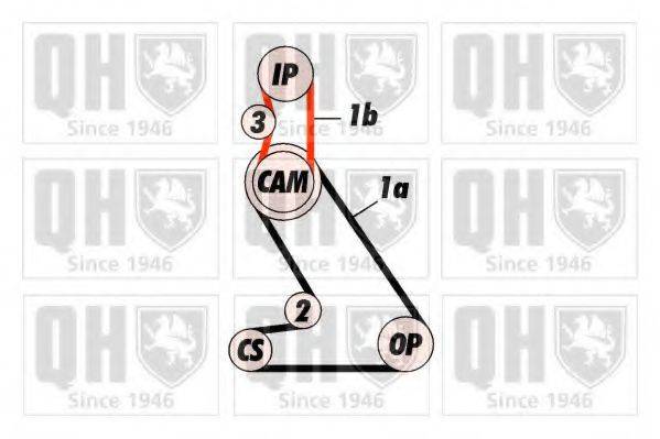 QUINTON HAZELL QBK119 Комплект ременя ГРМ