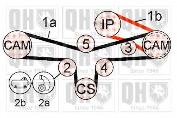 QUINTON HAZELL QBK584 Комплект ременя ГРМ