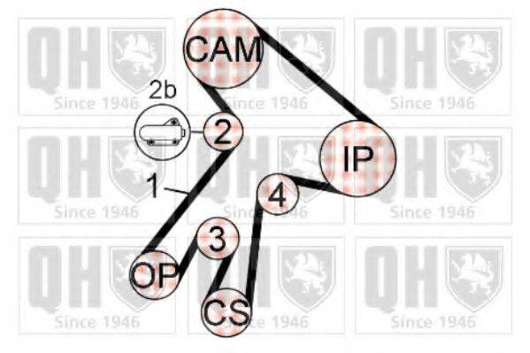 QUINTON HAZELL QBK703 Комплект ременя ГРМ