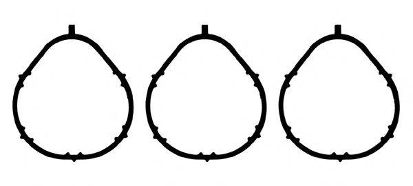 GLASER M8996600 Комплект прокладок, впускний колектор